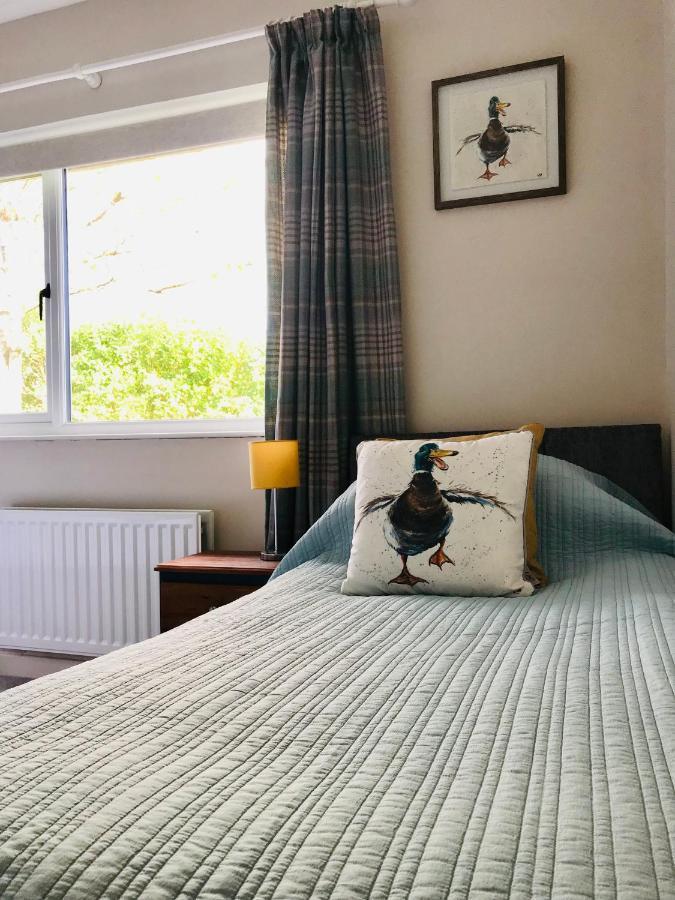 Eden Cottage Лисбърн Екстериор снимка